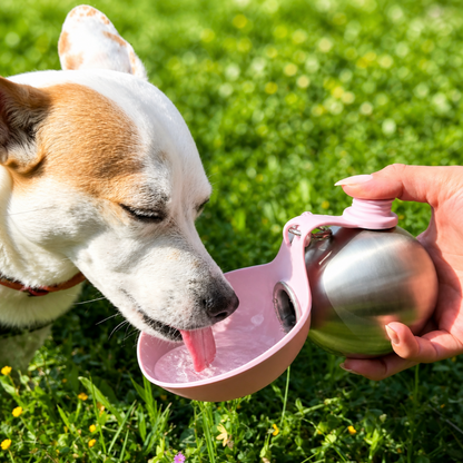 PawGo™ Portable Water Bottle