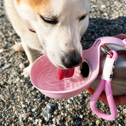 PawGo™ Portable Water Bottle